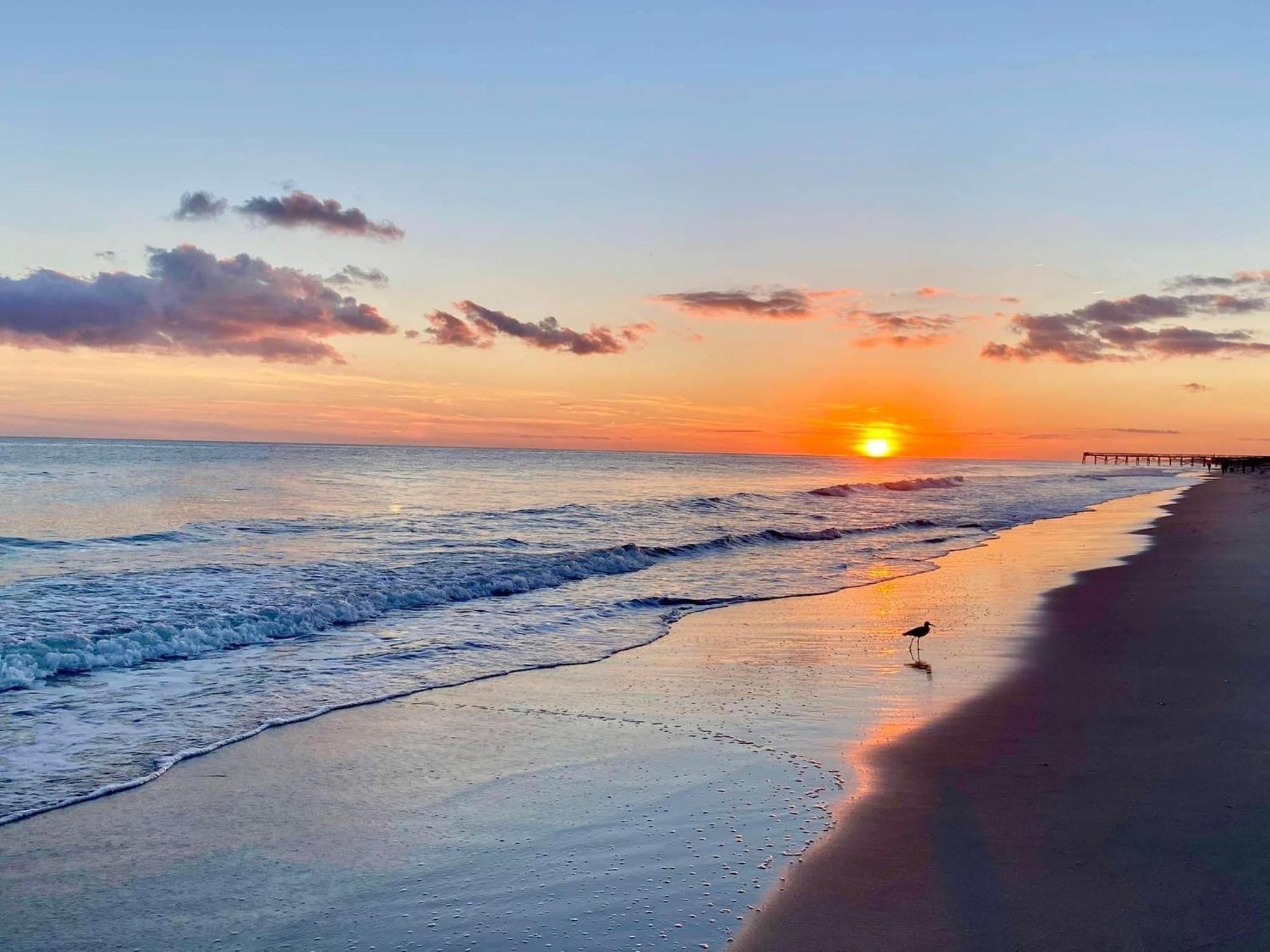 Island Inn Of Atlantic Beach Esterno foto
